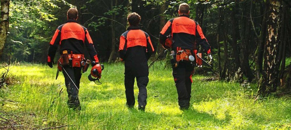 Drei Personen in Arbeitskleidung gehen durch einen Wald und tragen Ausrüstung als Symbol für Außeneinsätze, Field Service und praktische Servicearbeiten