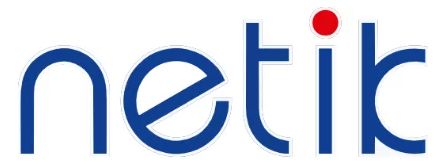 Netik Logo mit blauer Schrift und rotem Punkt über dem „i“ auf hellem Hintergrund